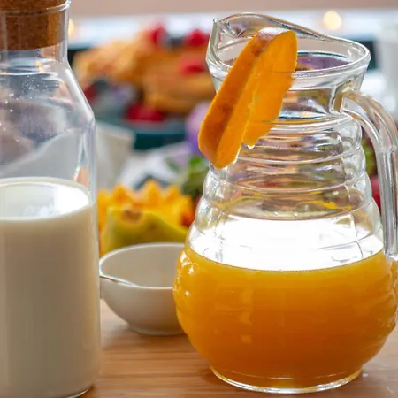 Laurus Албуфейра