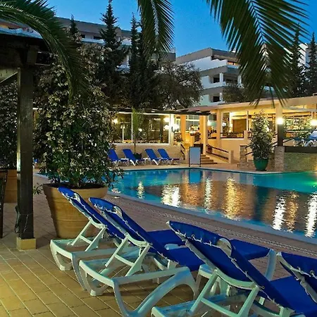 Laurus Албуфейра