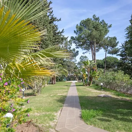 Laurus البوفيرا