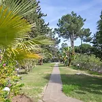 Apartamento Laurus *