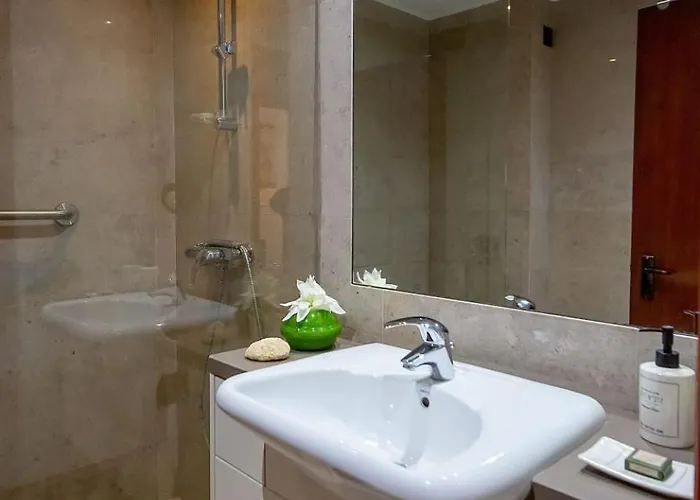 Laurus * 阿尔布费拉