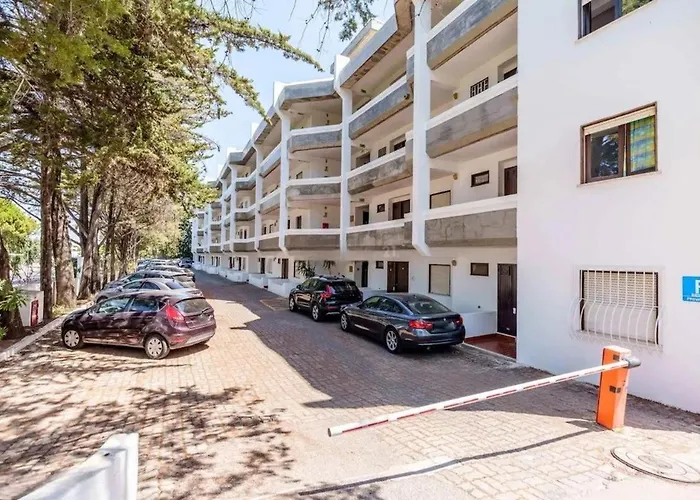 Laurus * 阿尔布费拉