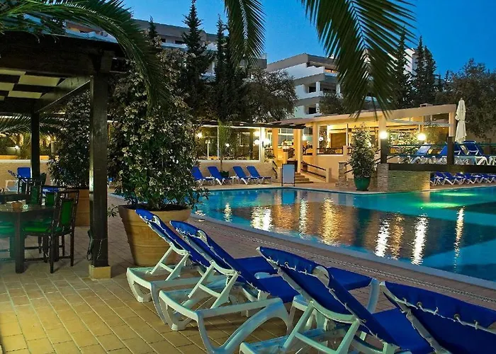 Laurus 阿尔布费拉